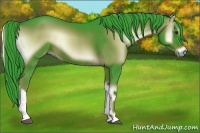 Horse Color:Watercolor Liver Red Onyx 