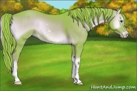 Horse Color:Watercolor Red Onyx Sabino