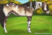Horse Color:White Spotted Liver Red Onyx