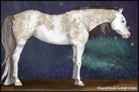 Horse Color:White Spotted Liver Red Dun Splash 