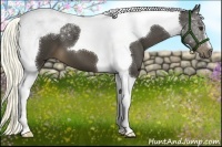 Horse Color:Liver Chestnut Tobiano