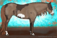 Horse Color:Liver Chestnut  and Liver Red Dun Frame 