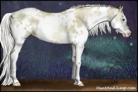 Horse Color:White Spotted Liver Chestnut Pearl Splash 