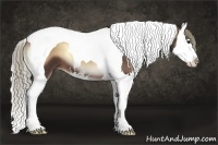 Horse Color:Liver Red Onyx Sabino Splash Tobiano