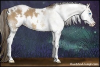Horse Color:White Spotted Liver Chestnut Sabino Splash 