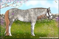 Horse Color:Buckskin Ice Pearl Dun Sabino