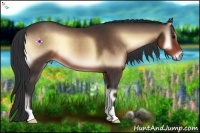 Horse Color:Brown Onyx