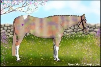 Horse Color:Nacre Palomino Sabino Tobiano Rabicano 