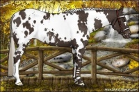 Horse Color:White Spotted Liver Chestnut Blanket 