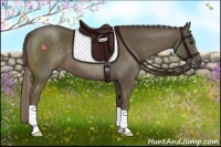 Horse Color:Chocolate Palomino 