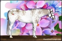 Horse Color:White Spotted Bay Dun Splash Appaloosa
