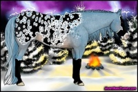 Horse Color:Watercolor Brown Splash Appaloosa Rabicano