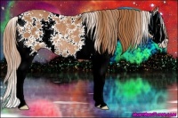 Horse Color:Chestnut Sabino Splash Rabicano 