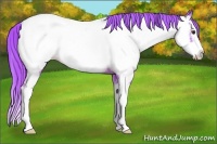 Horse Color:Watercolor Chestnut Sabino Splash Near Fewspot 