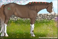 Horse Color:Liver Chestnut Splash 