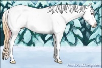 Horse Color:Plaid Bay Ice Dun Sabino Splash Blanket