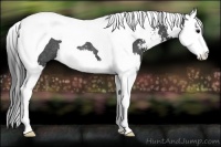 Horse Color:Smoky Black Sabino Splash Tobiano Rabicano