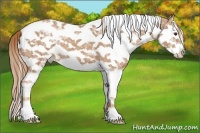 Horse Color:White Spotted Chestnut Ice Splash Tobiano 