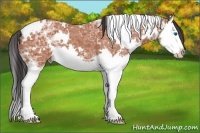 Horse Color:White Spotted Bay Ice Splash
