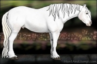 Horse Color:Chestnut Splash Tobiano Varnish 