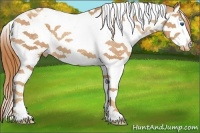 Horse Color:Gold Champagne Sabino Splash Tobiano Varnish