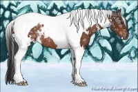 Horse Color:White Spotted Bay Ice Tobiano Appaloosa Rabicano 