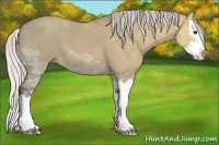 Horse Color:Silver Bay Ice Dun Sabino Splash 