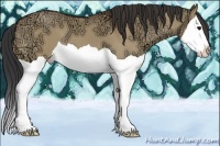 Horse Color:Bay Ice Dun Splash 