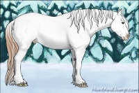 Horse Color:Chestnut Ice Sabino Splash Appaloosa