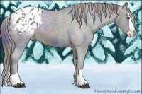 Horse Color:Nacre Black Splash Varnish 