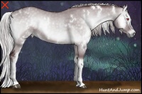 Horse Color:White Spotted Chocolate Silver Grullo Chinchilla Onyx