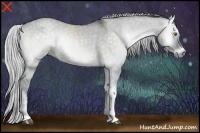 Horse Color:Silver Grullo Chinchilla Onyx 