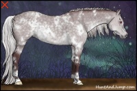 Horse Color:White Spotted Chocolate Silver Grullo Chinchilla 