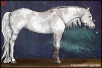 Horse Color:White Spotted Chocolate Silver Grullo Chinchilla