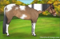 Horse Color:White Spotted Brown Dun Tobiano Frame