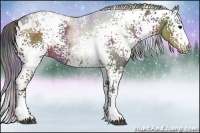 Horse Color:Nacre White Spotted Brown Ice Rabicano