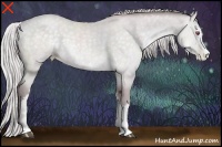 Horse Color:White Spotted Chocolate Silver Black Chinchilla Pearl Sabino 