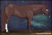 Horse Color:Chocolate Black 
