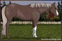 Horse Color:Chocolate Silver Black 