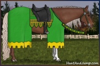 Horse Color:Chocolate Silver Bay 