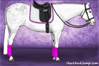 Horse Color:Silver Buckskin Chinchilla Dun Appaloosa 