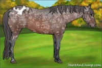 Horse Color:Brown Ice Sabino Varnish