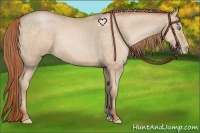 Horse Color:Buckskin Pearl 