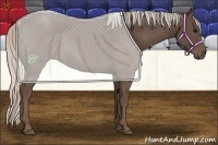 Horse Color:Silver Black 