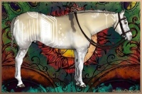 Horse Color:White Spotted Liver Red Dun Onyx Sabino