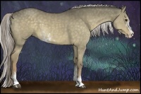 Horse Color:Chocolate Palomino Dun Sabino Rabicano