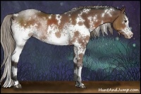 Horse Color:White Spotted Liver Chestnut Rabicano 