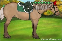 Horse Color:Silver Bay Dun 