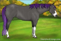 Horse Color:Painted Blue Roan Splash