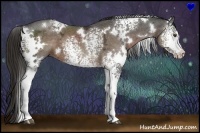 Horse Color:White Spotted Liver Chestnut Ice 